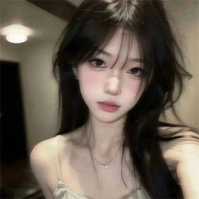 鸽之翼