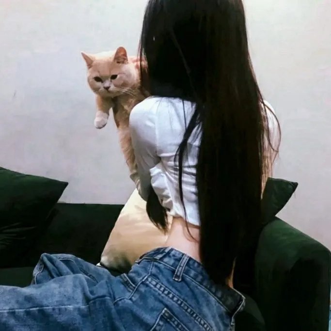 忍冬玫瑰